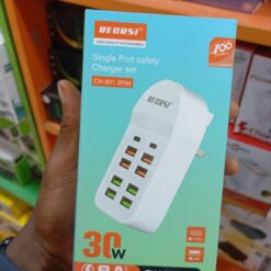 Regrsi CH-801 3pin 30w multiple Charger 10-in-1